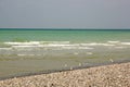 Dieppe beach, seagulls. Normandy, Seine-Maritime France Royalty Free Stock Photo