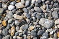 Dieppe, the pebbles of the beach Seine-Maritime France Royalty Free Stock Photo