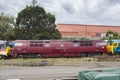 British Rail Class 52 Western Champion