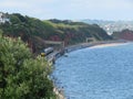 A diesel locomotive on the South Devon railway near Dawlish with red cliffs behind