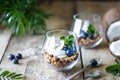 Diet dessert with yogurt, granola and fresh berries, close-up, horizontal. Healthy breakfast ingredients. copy space Royalty Free Stock Photo