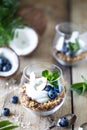 Diet dessert with yogurt, granola and fresh berries, close-up, horizontal. Healthy breakfast ingredients. Vertical Royalty Free Stock Photo