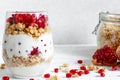 Diet dessert with yogurt, granola and pomegranate fruit in a glass Royalty Free Stock Photo