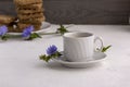 Diet drink chicory in a cup, coffee substitute. Cichorium intybus flower