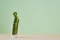 Diet food. Fresh cucumber slices in glass. Eco vegetable. Healthy lifestyle. Copy space. Isolated on green background Royalty Free Stock Photo