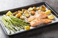 Diet food salmon fillet baked with asparagus and new potatoes close-up in a baking sheet. Horizontal Royalty Free Stock Photo