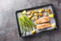 Diet food salmon fillet baked with asparagus and new potatoes close-up in a baking sheet. Horizontal top vew Royalty Free Stock Photo