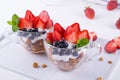 Diet healthy dessert with yogurt, granola and fresh berries. Royalty Free Stock Photo