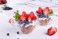 Diet healthy dessert with yogurt, granola and fresh berries. Royalty Free Stock Photo