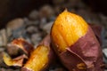 Diet and Healthy food of Delicious Baked sweet potato Royalty Free Stock Photo