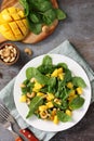 Diet menu, Vegan food. Healthy salad with spinach, mango, pecan and vinaigrette dressing Royalty Free Stock Photo