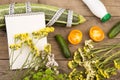 marrow squash, measure tape, blank notepad, bottle of water, flowers, tomatoes and cucumbers on brown wooden table Royalty Free Stock Photo