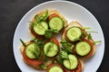 Diet sandwiches with greens, cucumber and tomato on a white plate