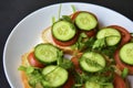 Diet sandwiches with greens, cucumber and tomato on a white plate