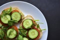 Diet sandwiches with greens, cucumber and tomato on a white plate