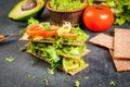 Diet sandwiches with guacamole and fresh vegetables