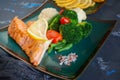 Diet serving of salmon with lemon, broccoli and vegetables. Two pieces of grilled salmon are served on a beautiful plate Royalty Free Stock Photo