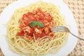 Diet spaghetti bolognese with white meat - healthy Royalty Free Stock Photo