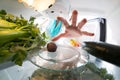 Diet struggle: A hand grabbing a tiny candy from the open refrigerator full of greens. Royalty Free Stock Photo