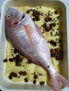 Diet and tasty italian second plate: pagello fish with potatoes, olive and capers