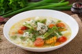 Diet vegetable soup with chicken meatballs and fresh herbs. Royalty Free Stock Photo