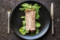 Diet wrap with meat and greens Royalty Free Stock Photo