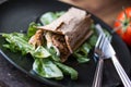 Diet wrap with meat and greens Royalty Free Stock Photo