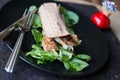 Diet wrap with meat and greens Royalty Free Stock Photo