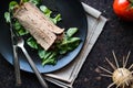 Diet wrap with meat and greens Royalty Free Stock Photo