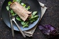 Diet wrap with meat and greens Royalty Free Stock Photo