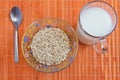 Dietary breakfast: oatmeal and milk