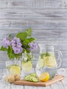 Dietary detox drink with lemon juice, ginger, cucumber and mint leaves in clear water Royalty Free Stock Photo