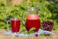 Dietary detox drink with red cherry in clear water with ice. Cherry juice in jug and in glass and ripe cherries in plate Royalty Free Stock Photo