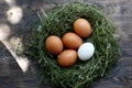 Eggs in the nest. Chicken eggs. Nest on a wooden background