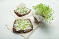 Dietary food for weight loss and health from vegetable sprouts, micro greens