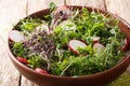 Dietary fresh radish salad with microgreen mix close-up in a bowl. horizontal Royalty Free Stock Photo