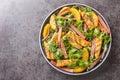 Dietary light salad of grilled chicken, rhubarb, lettuce, onions and oranges close-up on a plate. horizontal top view Royalty Free Stock Photo