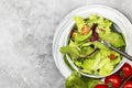 The dietary mixed greens salad mesclun, mache, lettuce Royalty Free Stock Photo