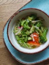 Dietary salad of fresh vegetables: cucumbers, radishes, tomatoes and broccoli, seasoned with olive oil. Royalty Free Stock Photo