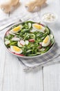 Dietary salad with radish, cucumber, lettuce mix, spinach and eggs close-up in a plate. Vertical