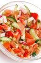 Dietary salad from tomatoes, cucumbers and radish Royalty Free Stock Photo