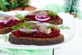 Dietary sandwiches with herring, boiled beets, red onion on rye bread Royalty Free Stock Photo