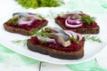 Dietary sandwiches with herring, boiled beets, red onion on rye bread Royalty Free Stock Photo