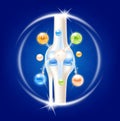 Dietary supplement bones. Arthritis knee joint pain in leg. Bone with Calcium Potassium Magnesium and Vitamin D. Royalty Free Stock Photo