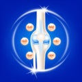 Dietary supplement bones. Bone with Calcium, Vitamins, Magnesium, Copper and Zinc. Arthritis knee joint pain in leg Royalty Free Stock Photo