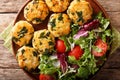 Dietary tasty meat balls with spinach and vegetable salad close-up. Horizontal top view Royalty Free Stock Photo