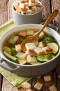 Dietary vegetable soup with croutons and thyme close-up in a bow Royalty Free Stock Photo