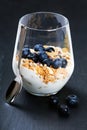 Dietetic breakfast - yoghurt with muesli and huckleberries Royalty Free Stock Photo