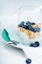 Dietetic breakfast - yoghurt with muesli and huckleberries Royalty Free Stock Photo