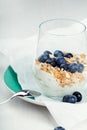 Dietetic breakfast - yoghurt with muesli and huckleberries Royalty Free Stock Photo